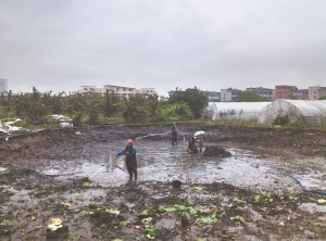 矿区河道鱼塘清淤